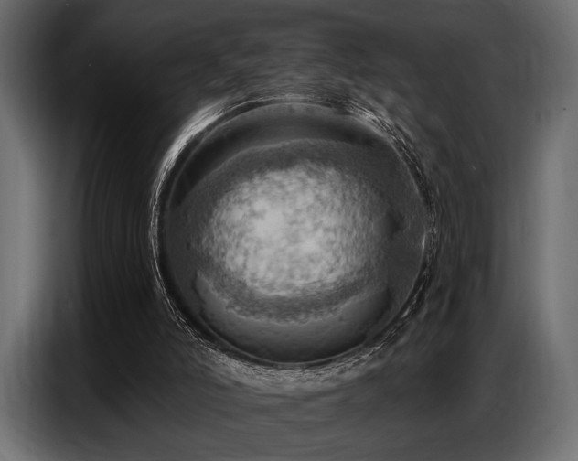X0000087740006200705071102