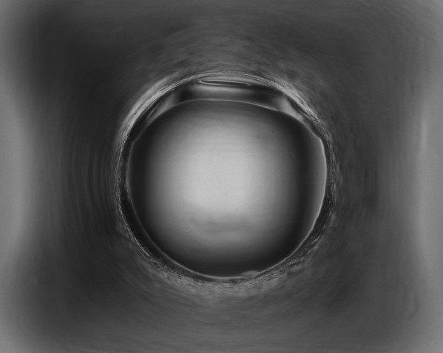 X0000087740007200705071102