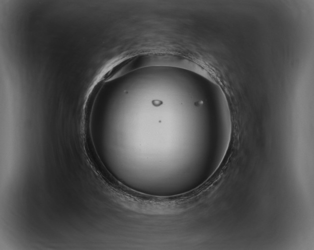 X0000087740008200705071102