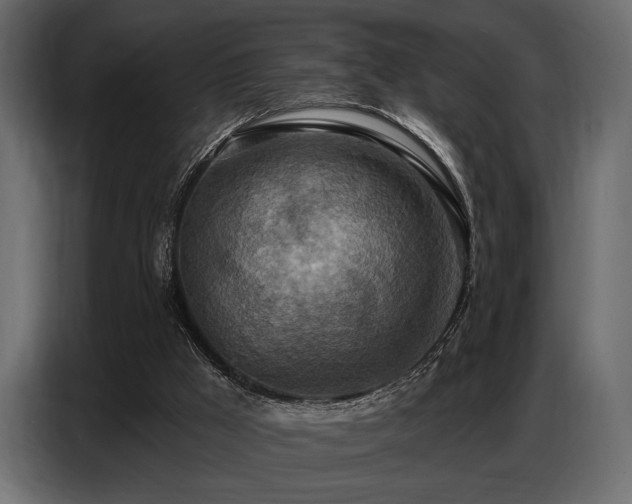 X0000087740009200705071102