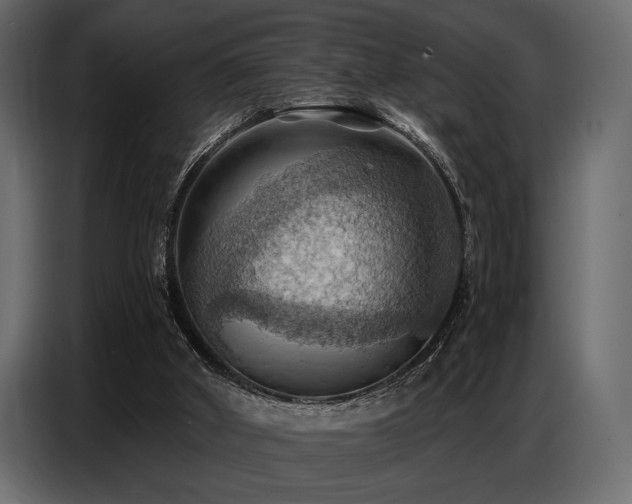X0000087740010200705071102