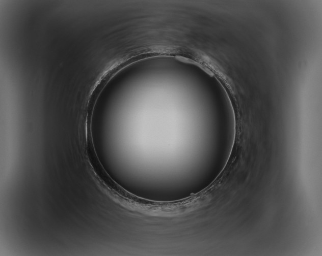X0000087740011200705071102
