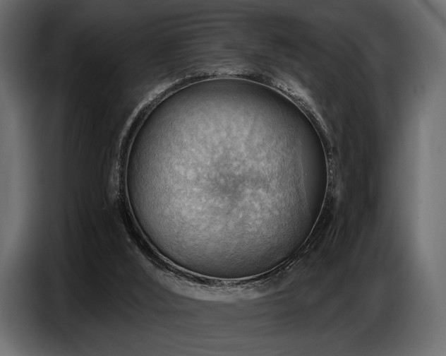 X0000087740012200705071102