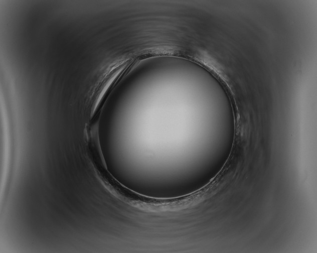 X0000087740013200705071102