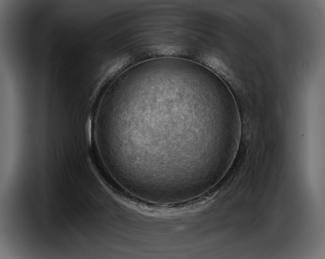 X0000087740014200705071102