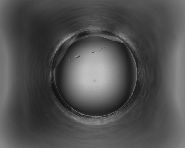 X0000087740015200705071102