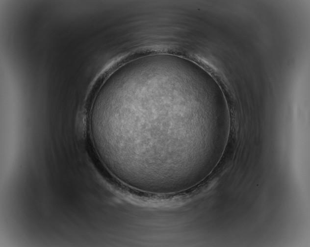 X0000087740016200705071102