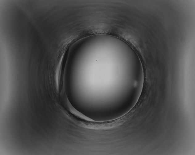 X0000087740017200705071102