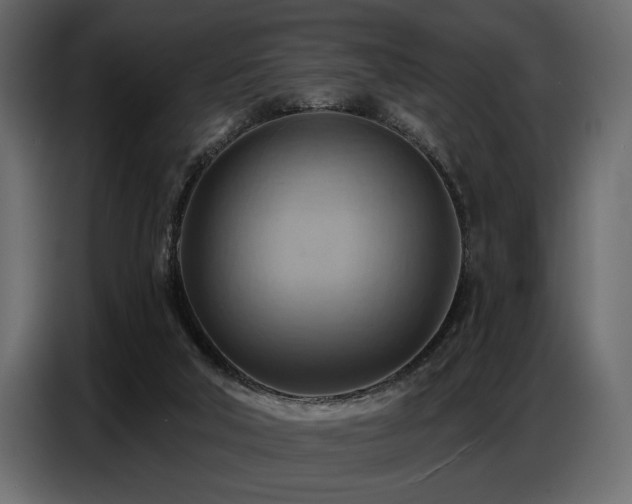 X0000087740018200705071102