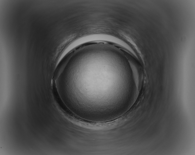 X0000087740019200705071102