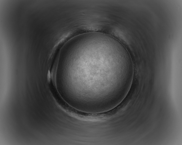 X0000087740020200705071102