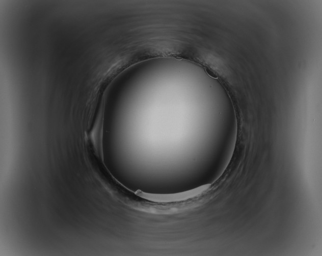 X0000087740021200705071102