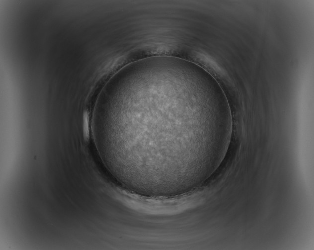 X0000087740022200705071102
