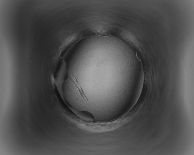 X0000087740023200705071102