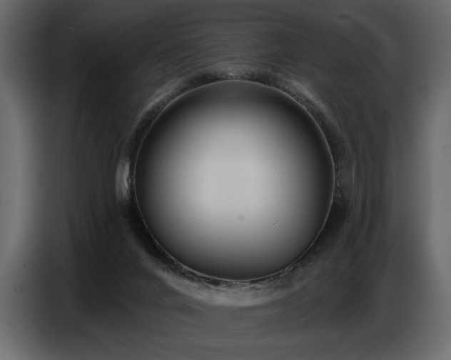 X0000087740024200705071102