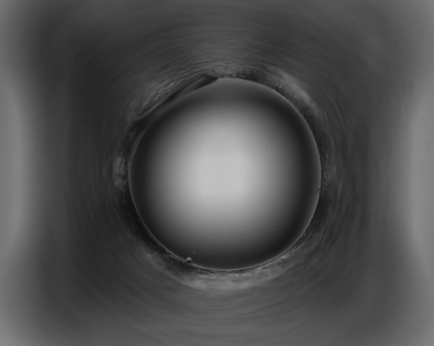 X0000087740025200705071102