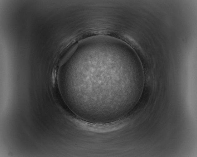 X0000087740026200705071102