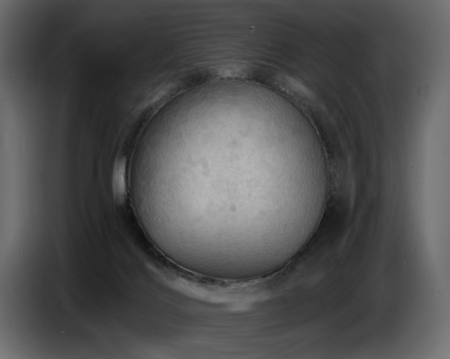 X0000087740028200705071102