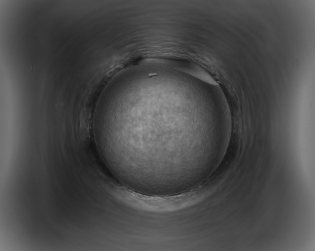 X0000087740030200705071102