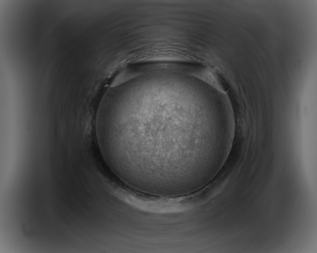 X0000087740032200705071102