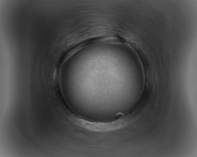 X0000087740034200705071102