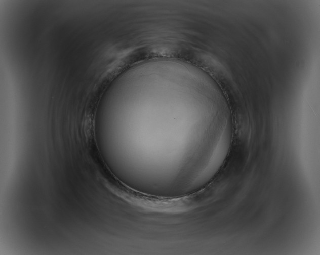 X0000087740036200705071102