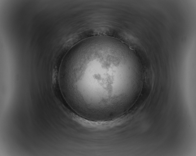 X0000087740038200705071102