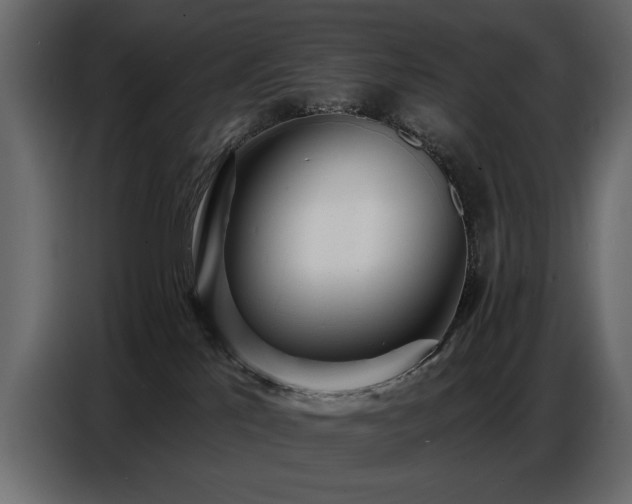 X0000087740041200705071102
