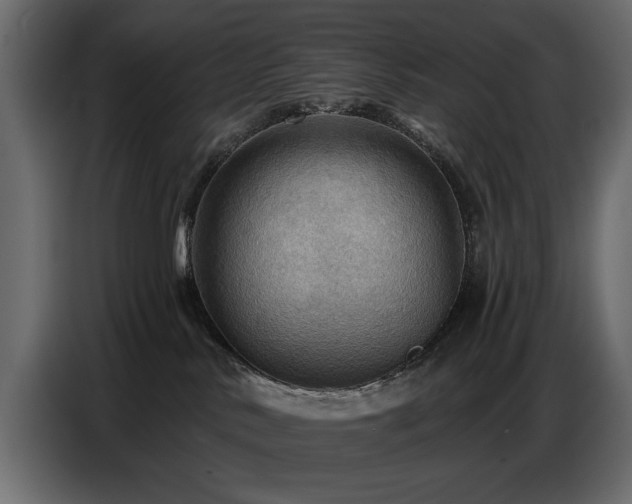 X0000087740042200705071102