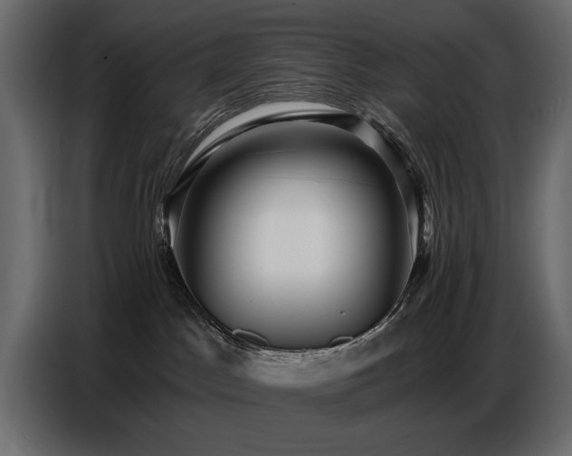 X0000087740045200705071102