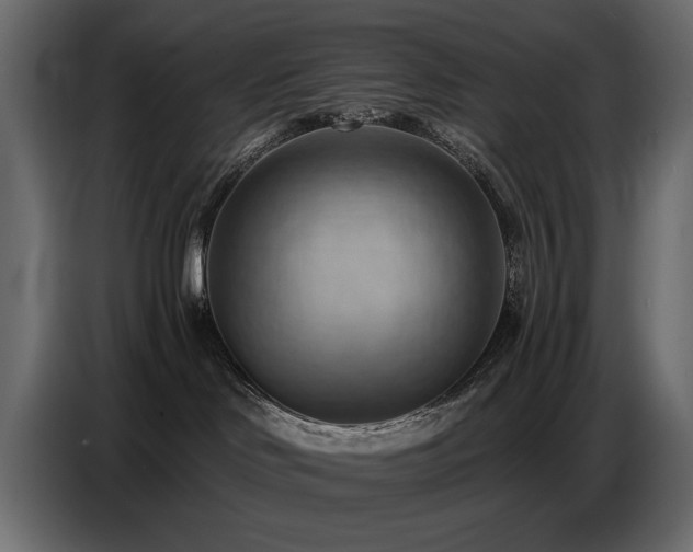 X0000087740046200705071102