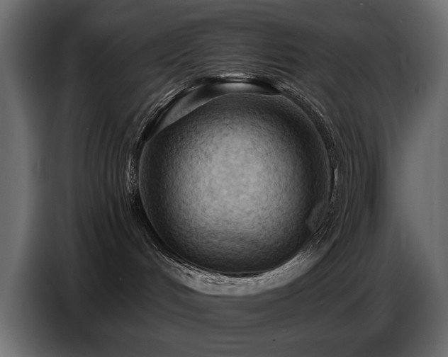 X0000087740048200705071102