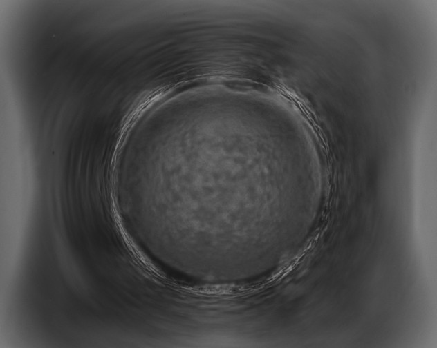 X0000087740049200705071101