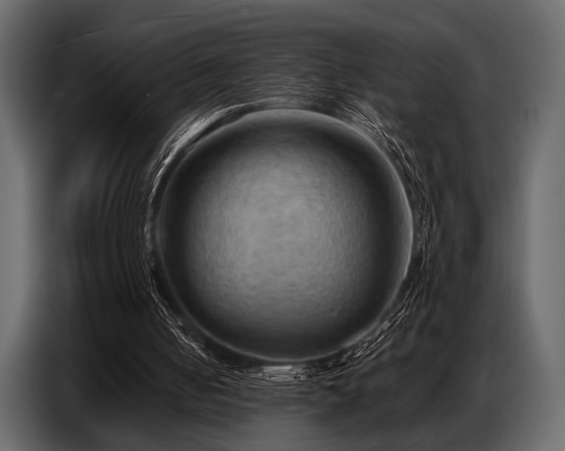 X0000087740050200705071101