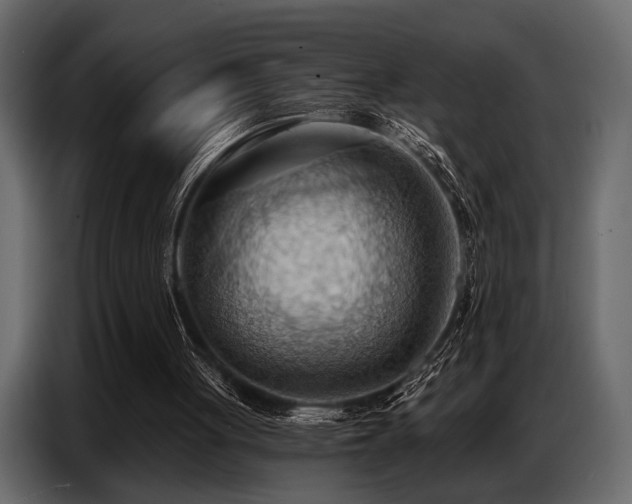 X0000087740051200705071101