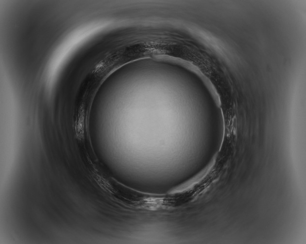X0000087740052200705071101