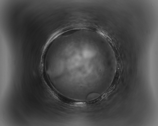 X0000087740053200705071101