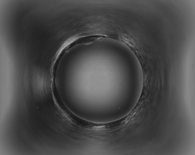 X0000087740054200705071101