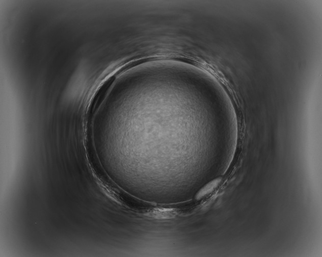 X0000087740055200705071101