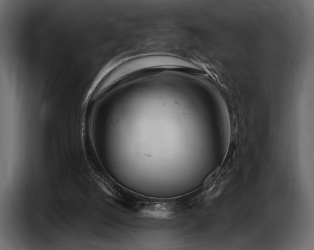 X0000087740056200705071101