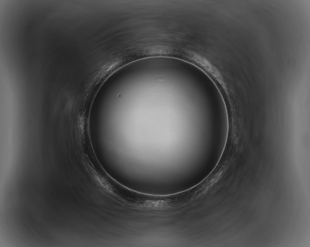 X0000087740057200705071101