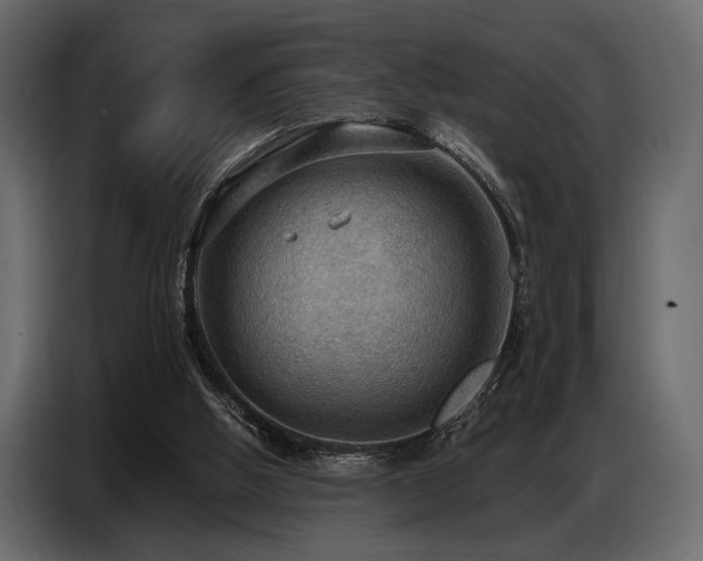 X0000087740058200705071101