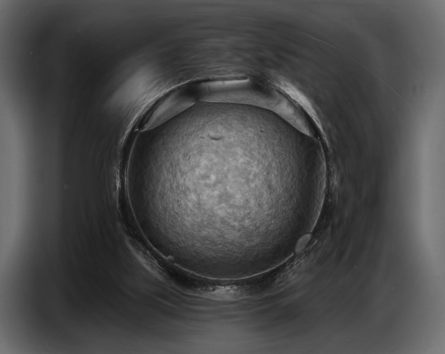 X0000087740059200705071101