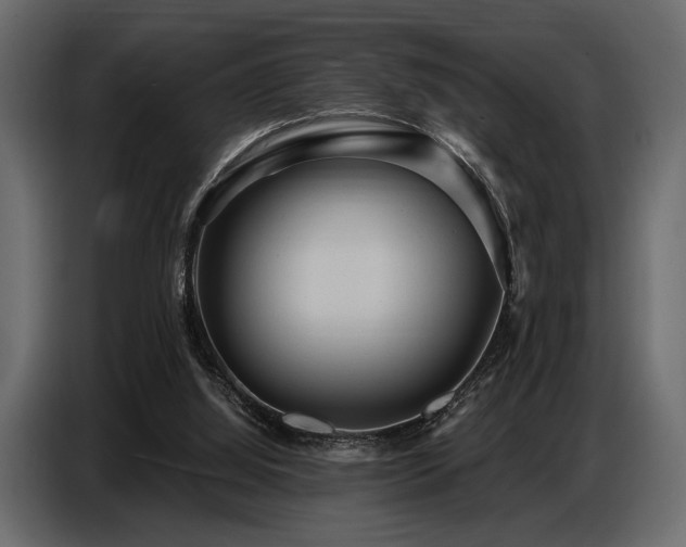 X0000087740060200705071101
