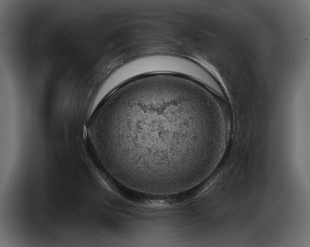X0000087740061200705071101