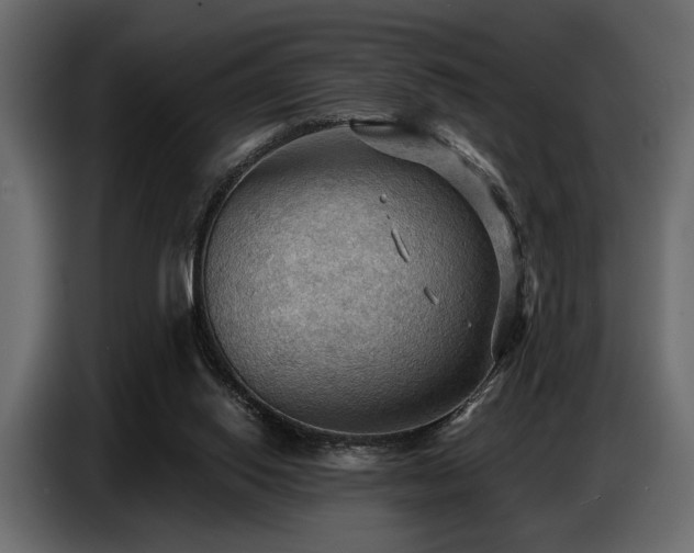 X0000087740062200705071101