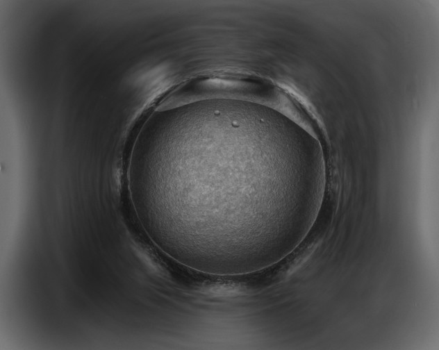 X0000087740063200705071101