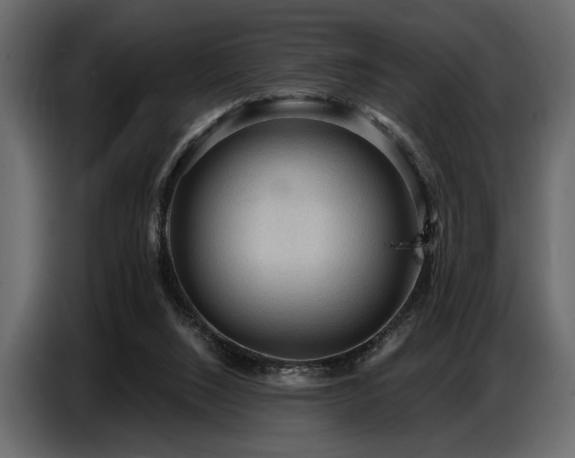 X0000087740064200705071101
