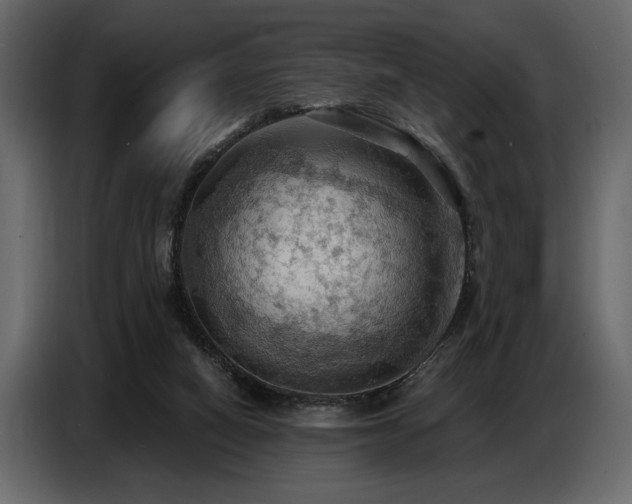 X0000087740066200705071101