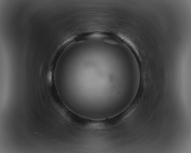 X0000087740067200705071101